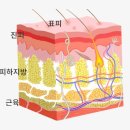 리즈라인의원 이미지