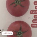 오포쏘아베음악학원 | ☀︎