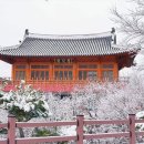 한원 이미지