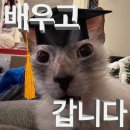 퓨쳐박스 | 2026 퓨처 리더스 캠프 후기/숙소/미션/수상 후기/평가 기준