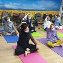 건강 댄스&요가 이미지