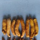 천마통신 이미지