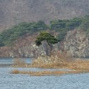 형제철재상사 | 괴산 산막이옛길을 걷다(옛길 정화활동과 탄소중립 캠페인)