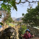 구항농장 | 거제 봄여행 수선화 공곶이