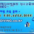 스킨스쿠버, 스킨다이빙(화) 이미지