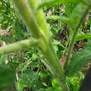 유림농약사 이미지