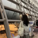 파리에다녀온치킨선운송정점 | [유럽여행] 신행/바르셀로나/에미레이트항공/두바이경유/바르셀로나맛집/h10메트로폴리탄 호텔