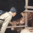 행복교육사 이미지