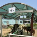 길로농장 | 🐦 파주 우농타조농장 내돈내산 후기!