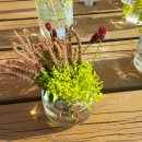 슈르르까 이미지