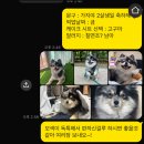 수유역 강아지 케이크 “ 둥글댕글 ”에서 가지 생일파티 준비했어요!