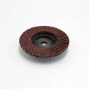 해바라기 헤어라인 이미지