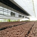 햇뜰농장 이미지