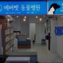 에버펫동물병원 - 송파구 오금로 422 | 에버펫동물병원