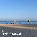 팬오션㈜부산빌딩 | 부산 놀거리 해양치유 프로그램 2025 해변 필라테스 요가 크로스핏