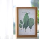 여름의 숲 네이버블로그