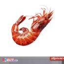 건항외과 이미지