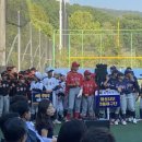 신도안면 야구장 이미지