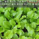 광무농장 이미지