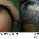 아름다운헤어 이미지