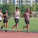 아르피아 이미지