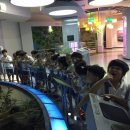 성모남해유치원 이미지