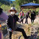 새골농장 이미지