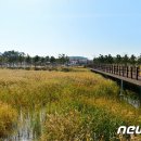 심원면자전거길1 이미지