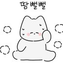 DYGYM 이미지