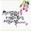 (주)코람데오 Daum카페