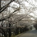 오늘의 경주 이미지