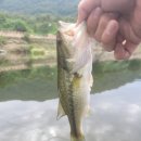 청도천4 이미지