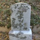 이규령 묘비문 이미지