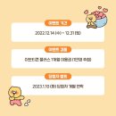 뽑고가자 이미지