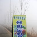 용범농장 이미지