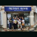 에코아트 이미지