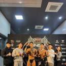 비스타짐 이미지