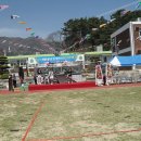 화제초등학교 이미지