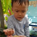 한사랑어린이집 이미지