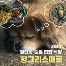 권선동 1156 네이버블로그