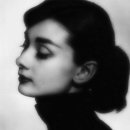 상남동263 이미지