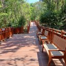 도시숲 산책길 이미지