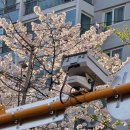 훼밀리공원 화장실 네이버블로그
