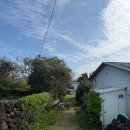 코코코게스트하우스 | 제주도 세화 코코코게스트하우스