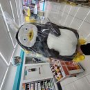 GS25탄방스타 이미지