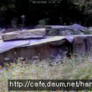 (주)신왕 이미지