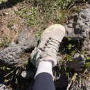 영실 1100고지 화장실 이미지