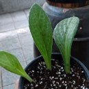 만석목장 이미지