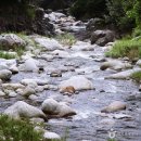 푸른계곡 이미지