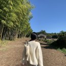 대한목장 | [제주도 여행] 제주 카페 대한목장 방문 후기